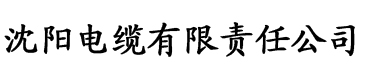 香蕉视频久久久精品电缆厂logo